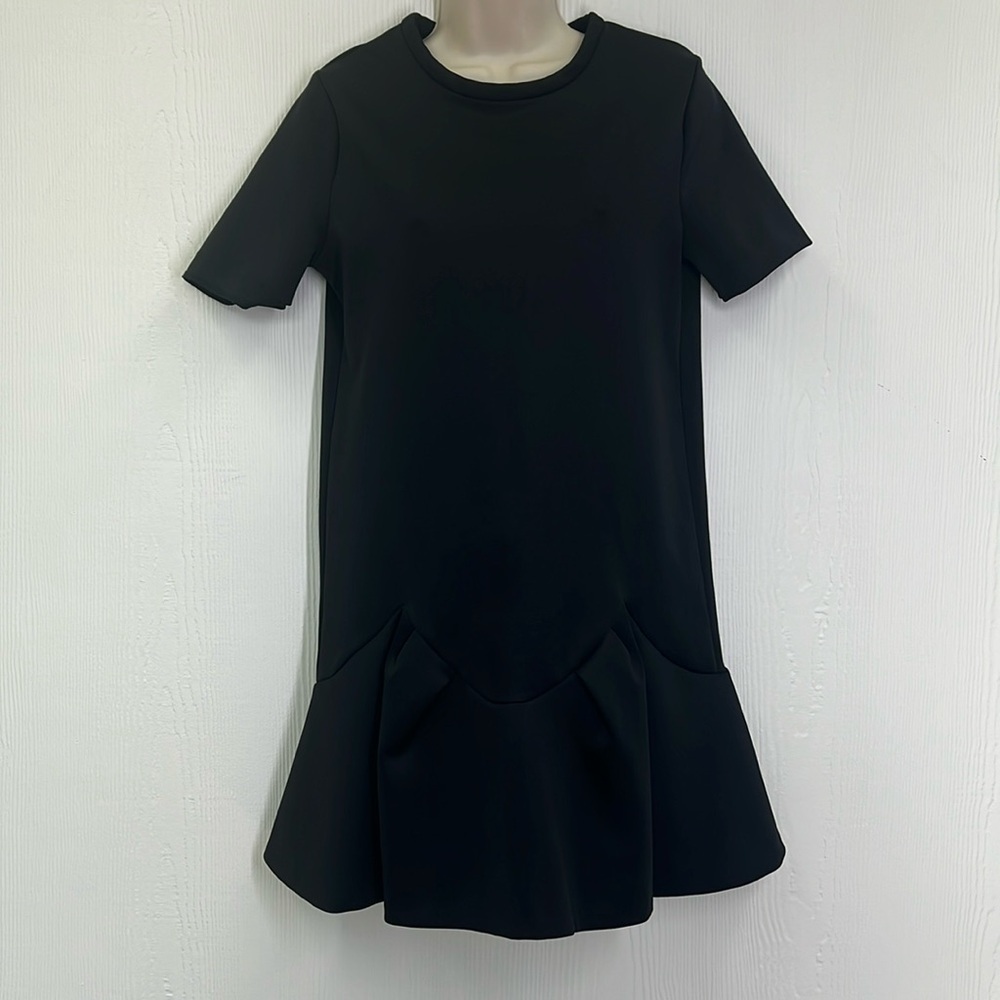 Zara - Black Short Sleeve Ruffle Lightweight  Crewneck Mini Dress Size Small